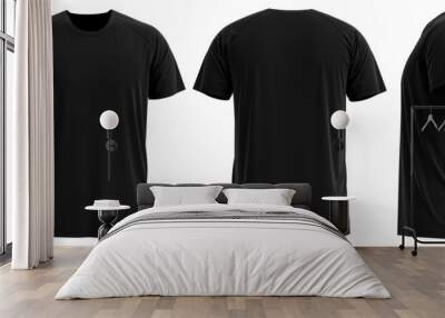 Raglan Short sleeve T-shirt [ Solid BLACK] Wall mural